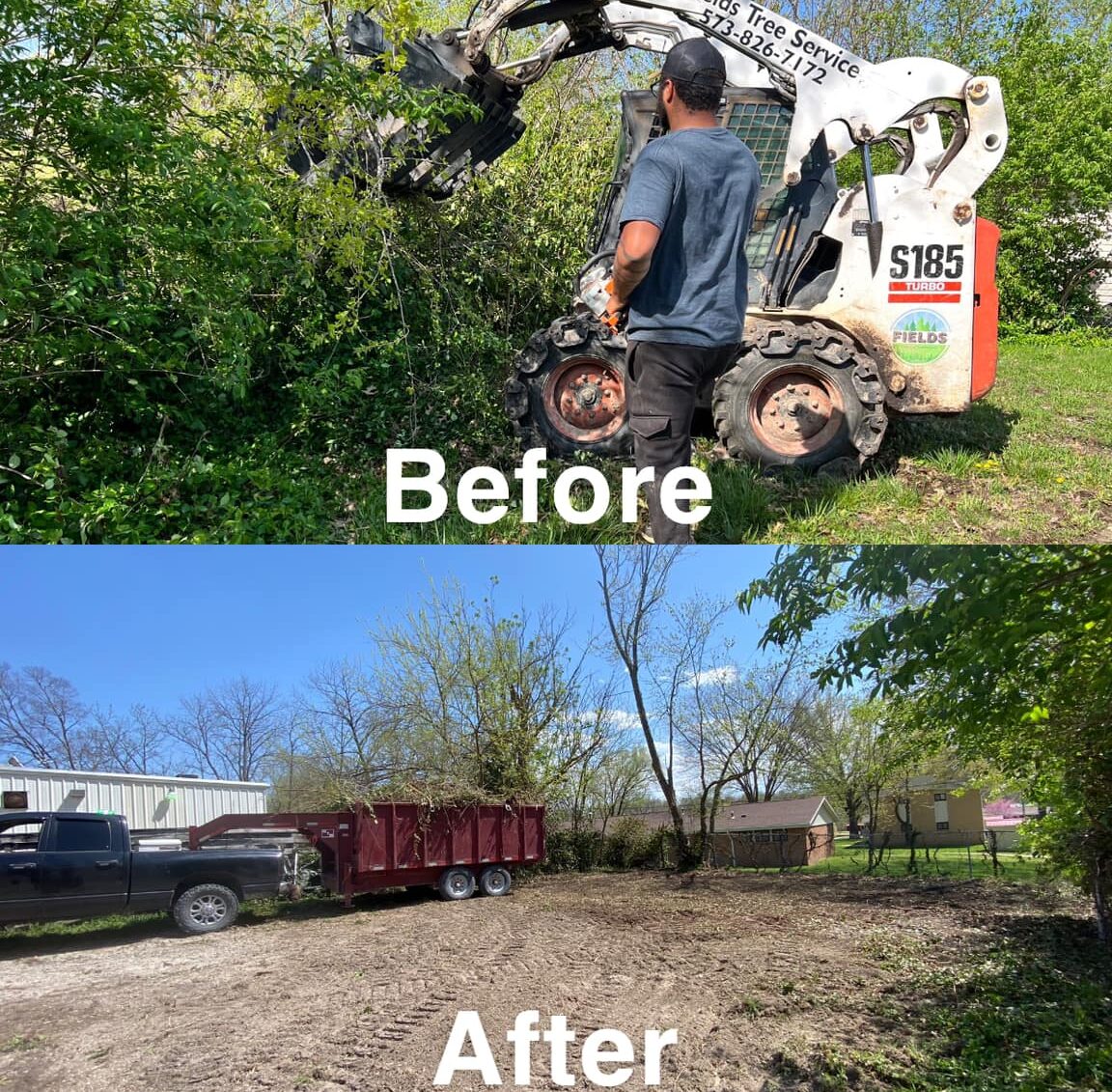tree services before and after in fulton mo
