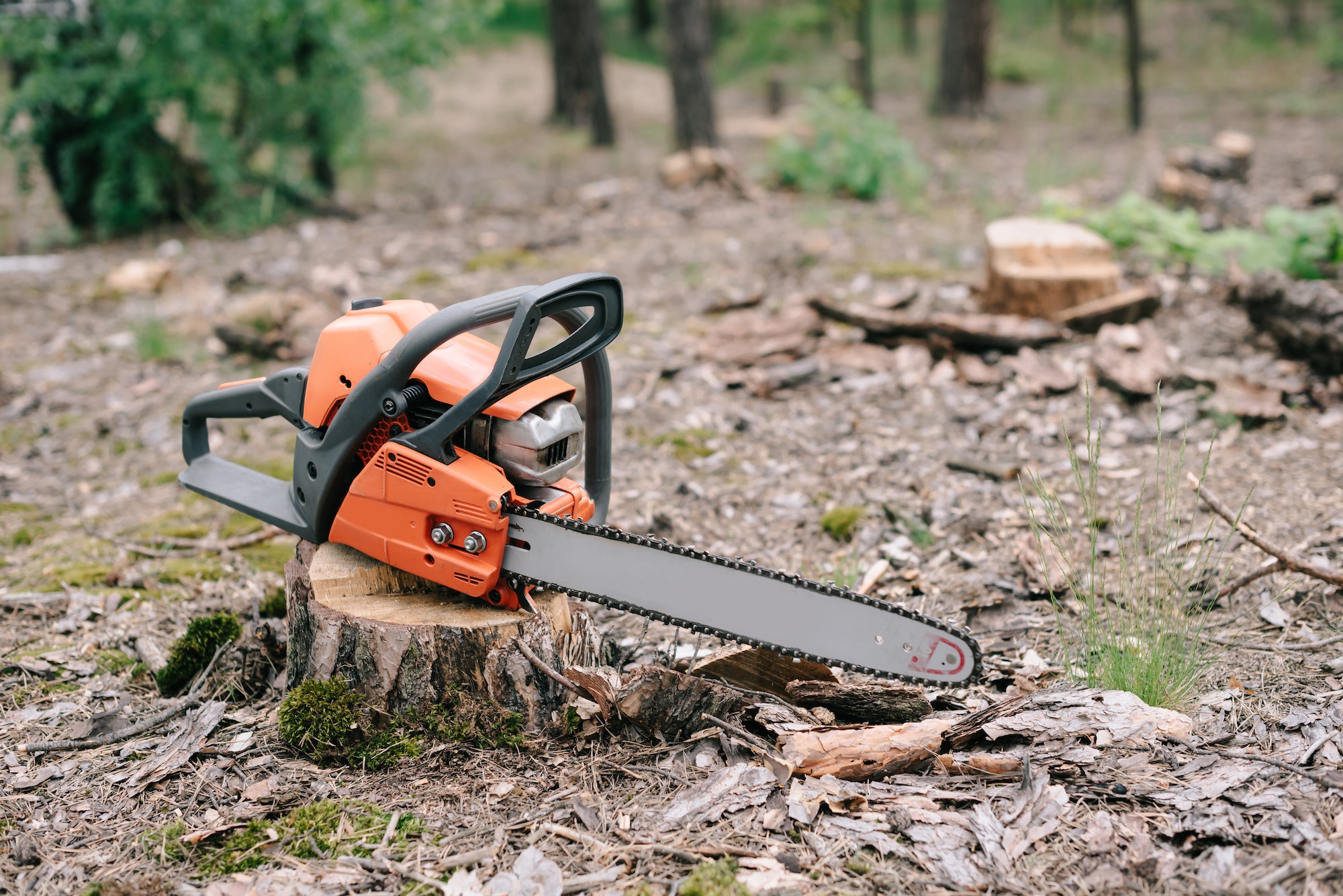 electric-sharp-orange-chainsaw-on-wood-stump in Fulton, MO