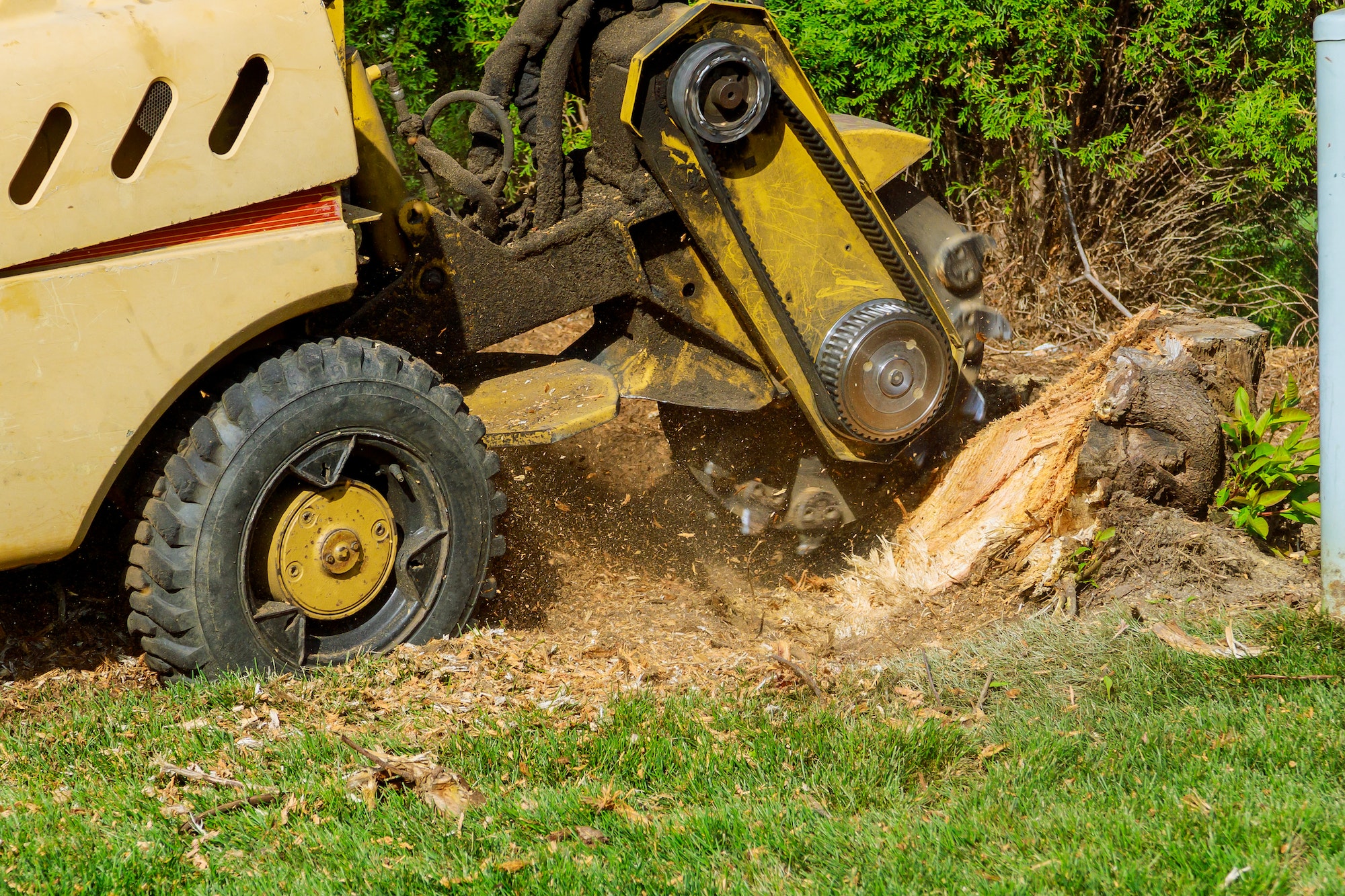 stump grinding services in fulton MO
